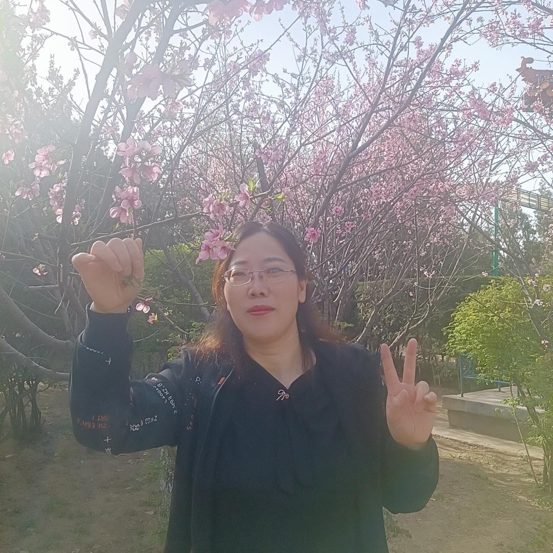 霖泽国际芝华仕头等舱