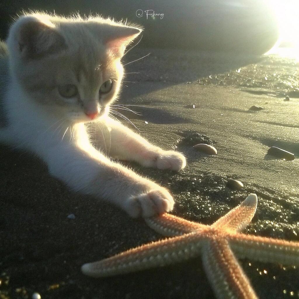 猛男想找一