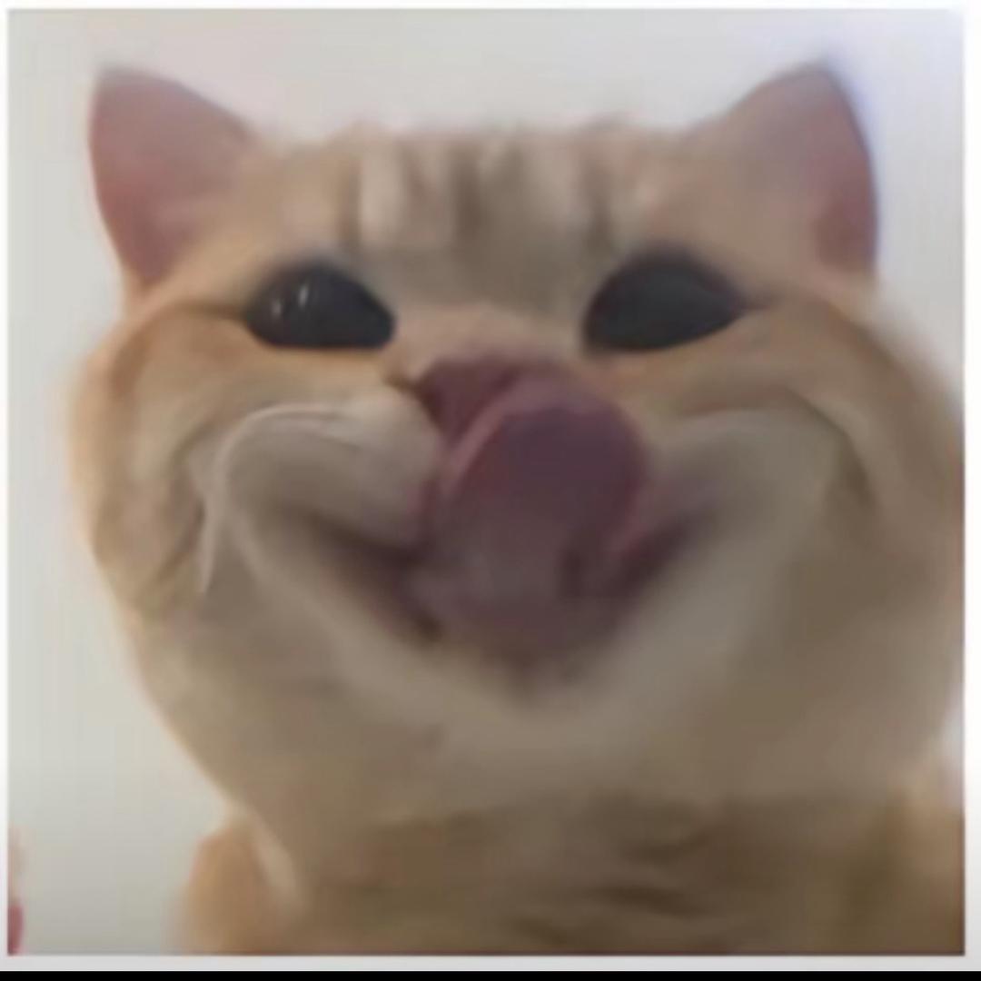 鱼鱼爱写字