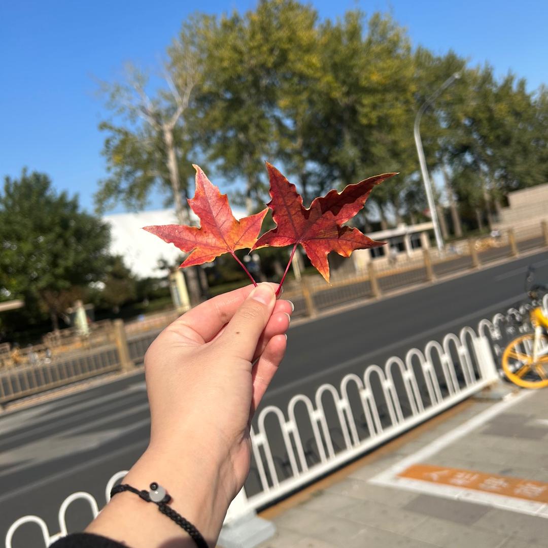 普通姑娘💃🏼