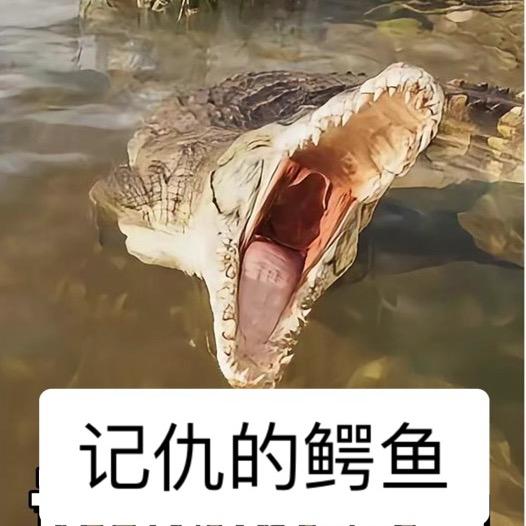 微微