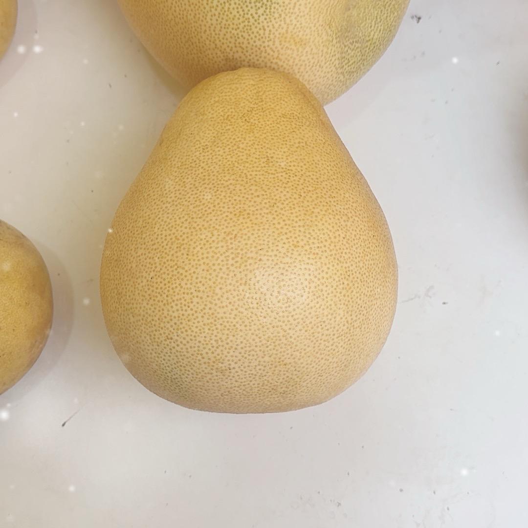 宣恩高罗白柚哥