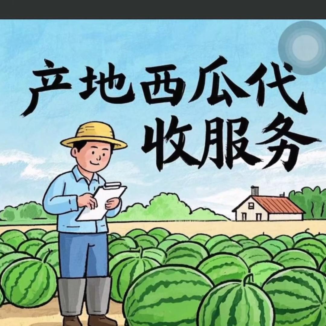 娜仔果蔬产地直供