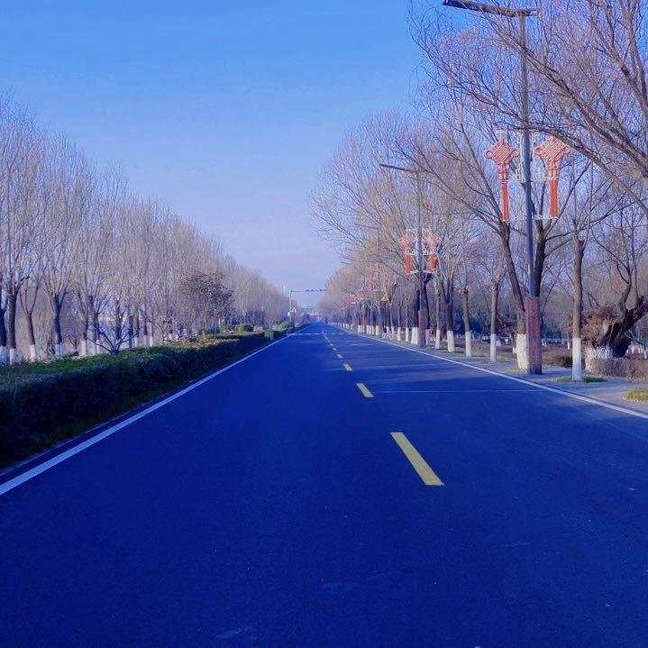 宰了羊腿去喂狗