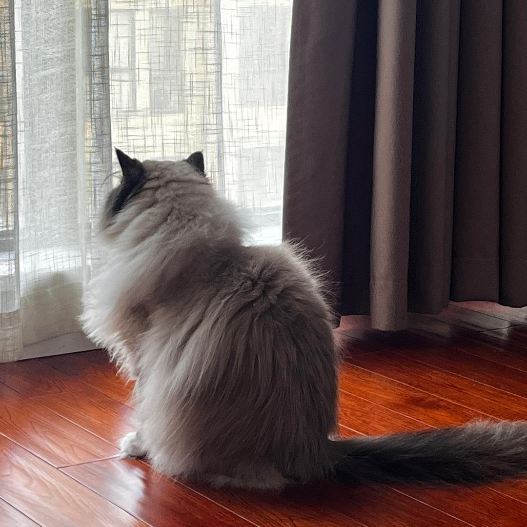 小小七月月