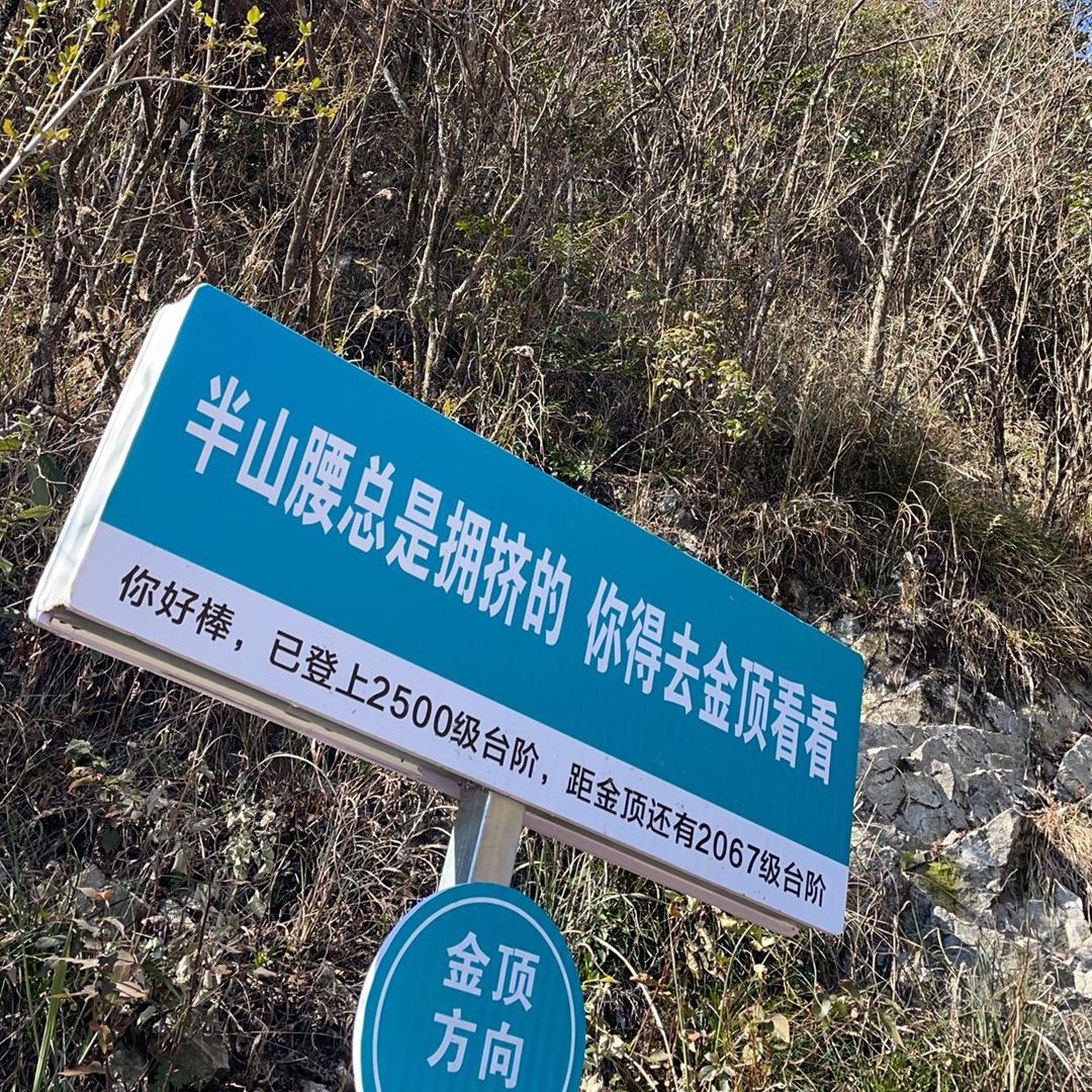 出发