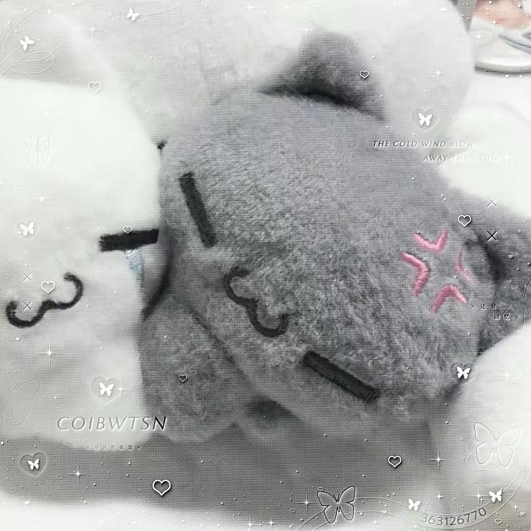 爱湫湫