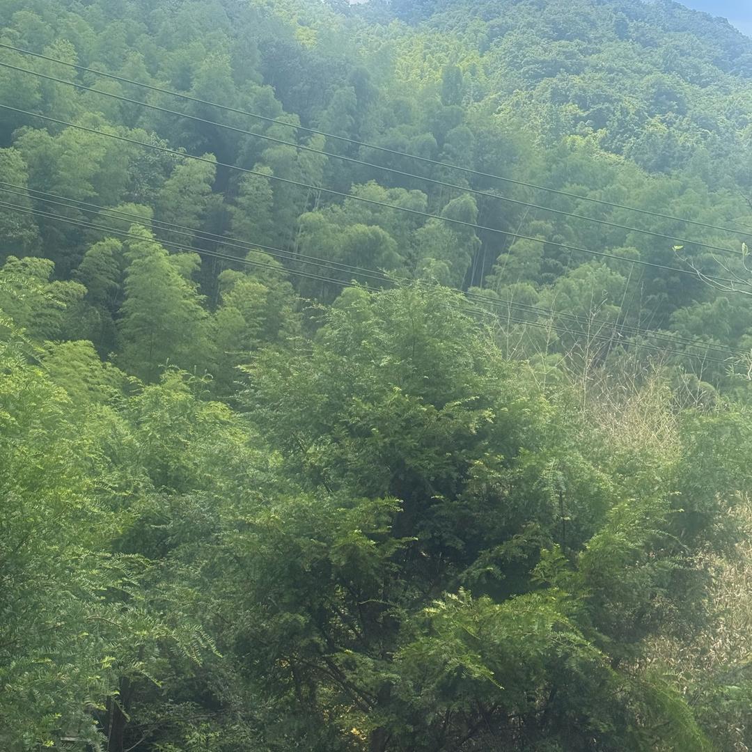 两个孩子的妈妈