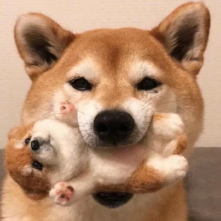 爱豆嘎嘎甜