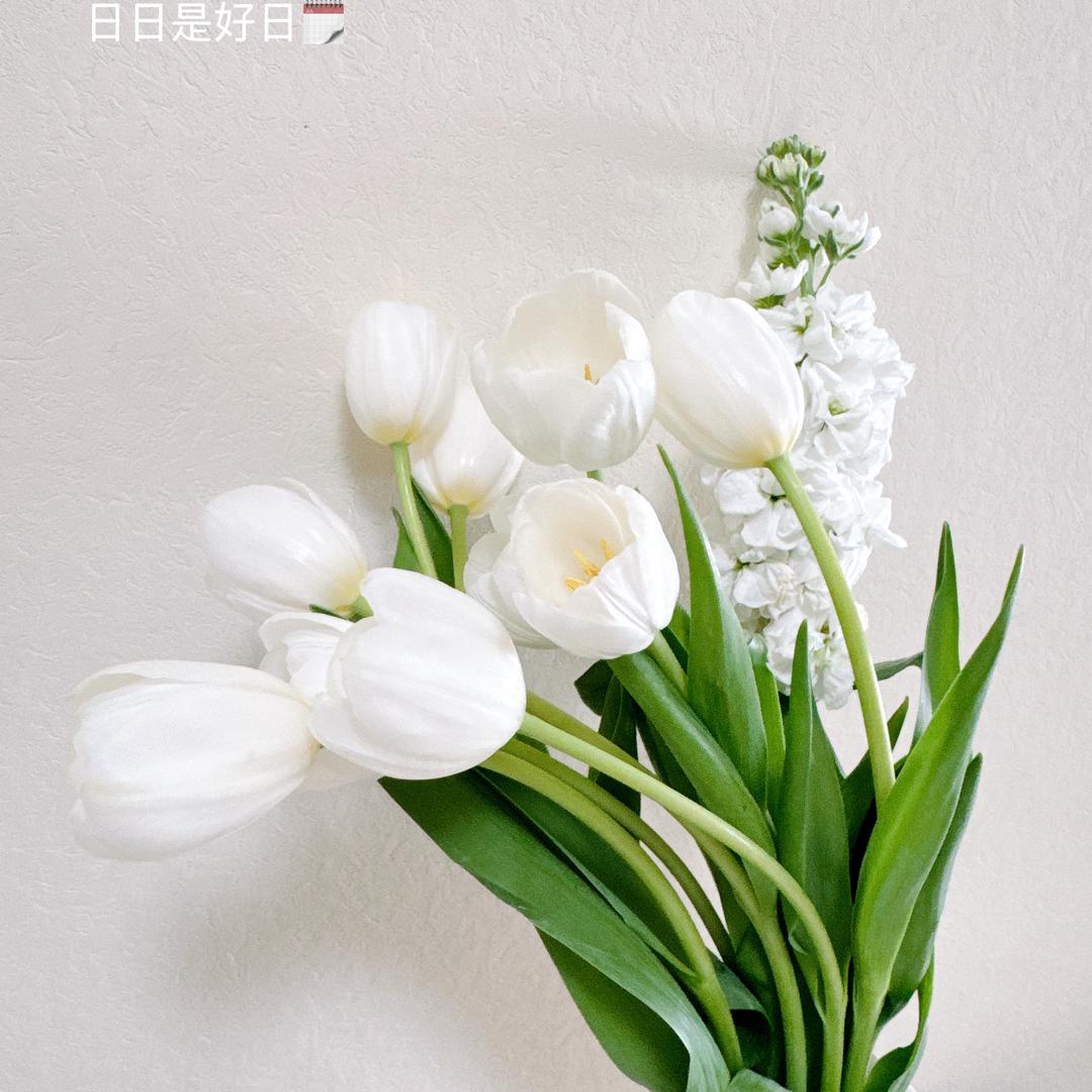 我明目张胆的偏爱