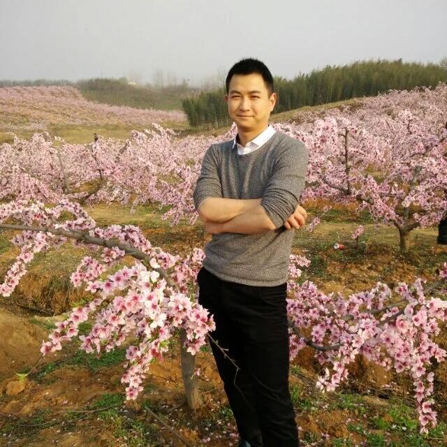 六安阿台收头发