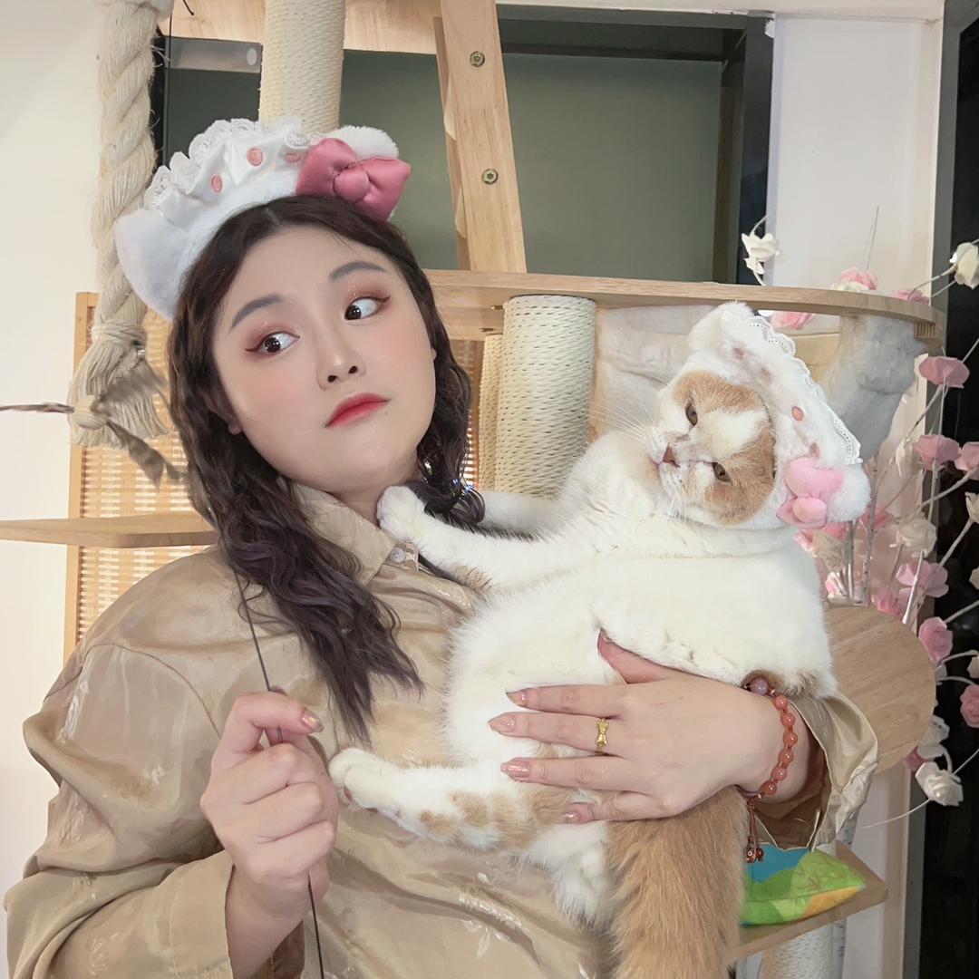 猫奴十三@抖音