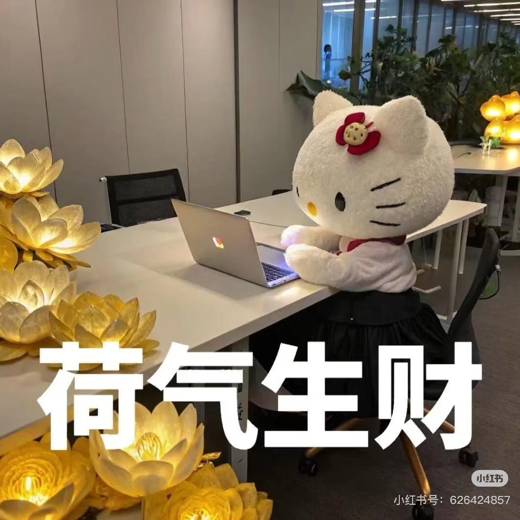 星星财税（带领会计小白成功上岗）