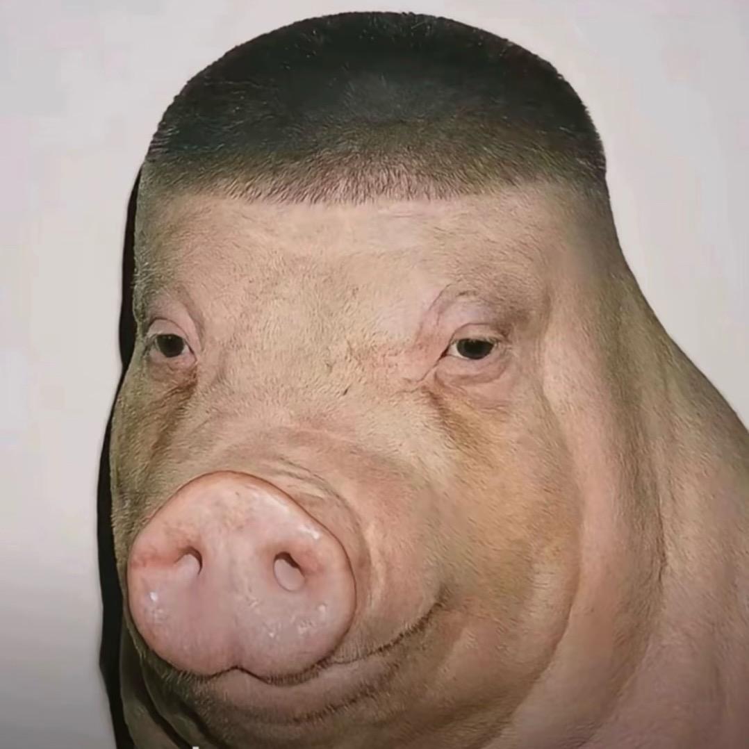 王納摸