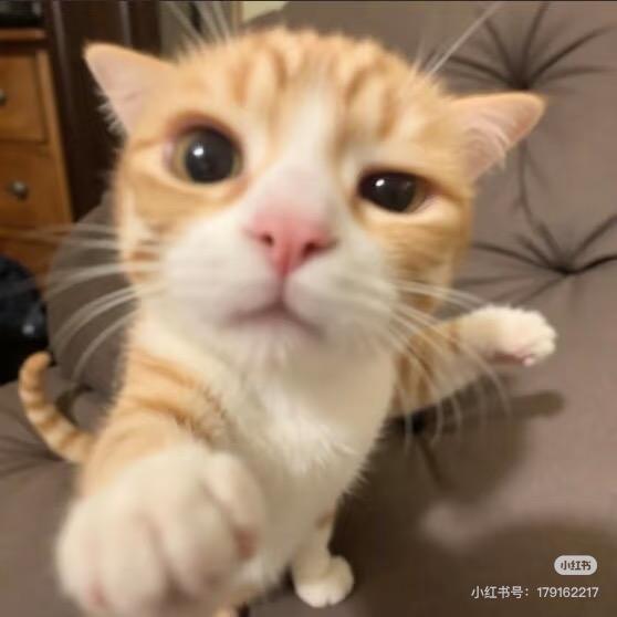 被自己帅到的第5789次