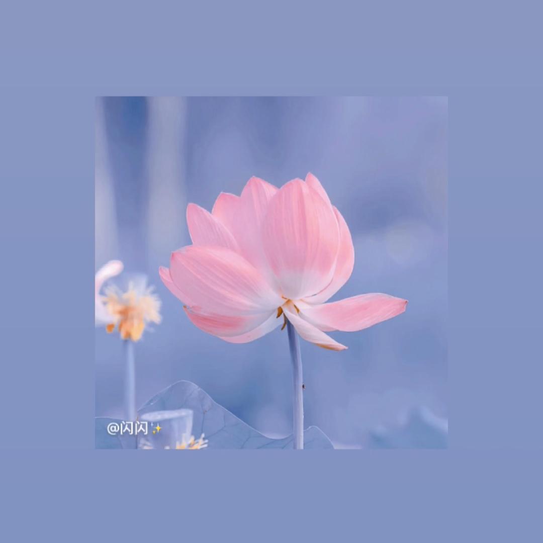 木易康乐