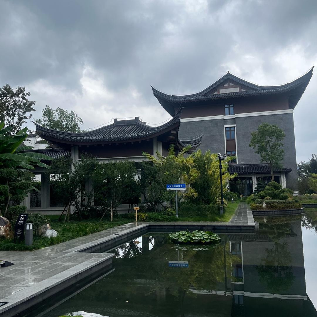 小马爱打球