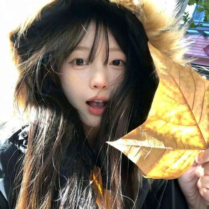 摸凹猫-
