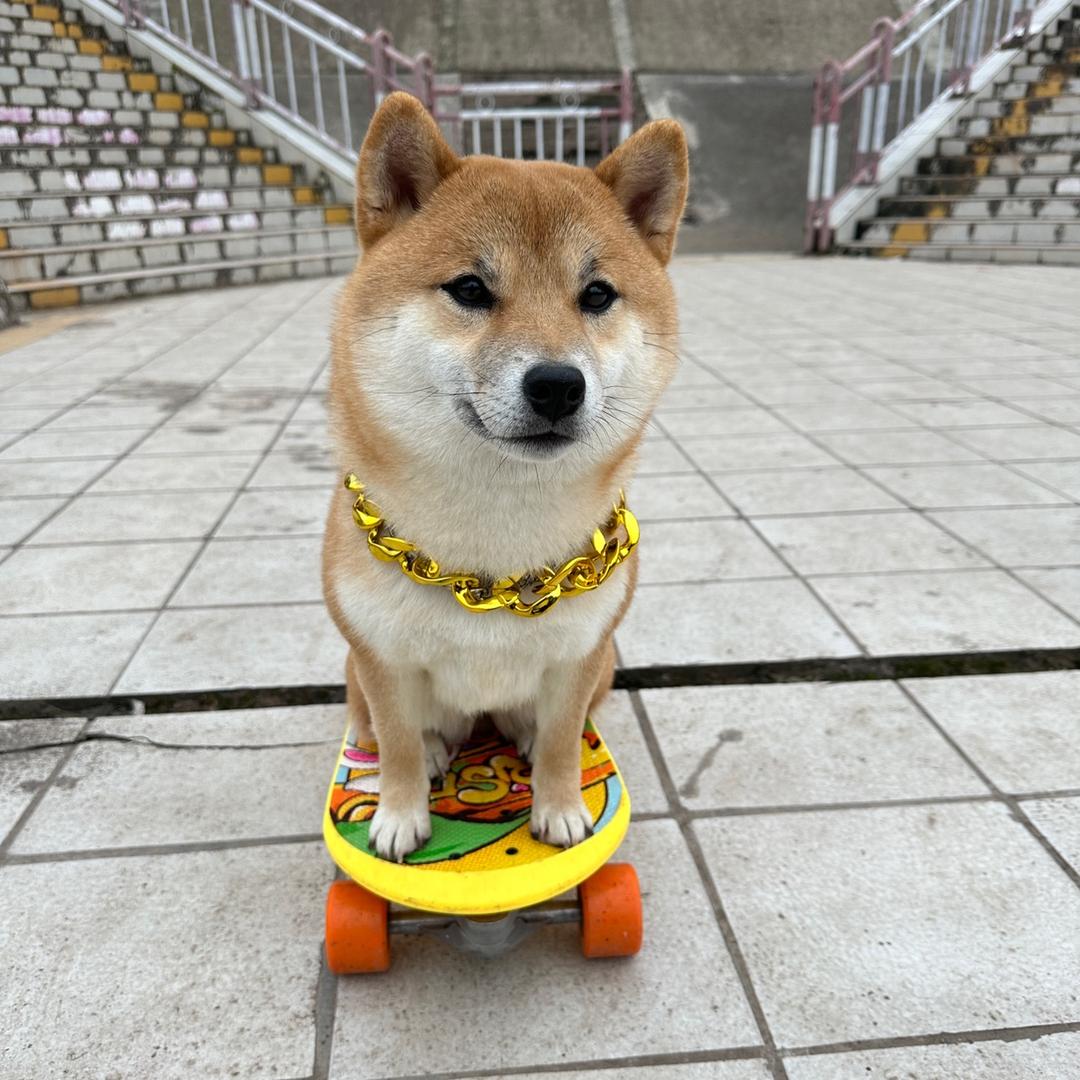 七喜玩滑板