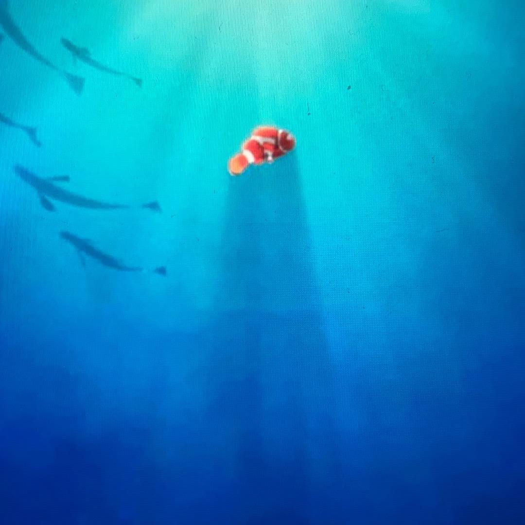 中国年