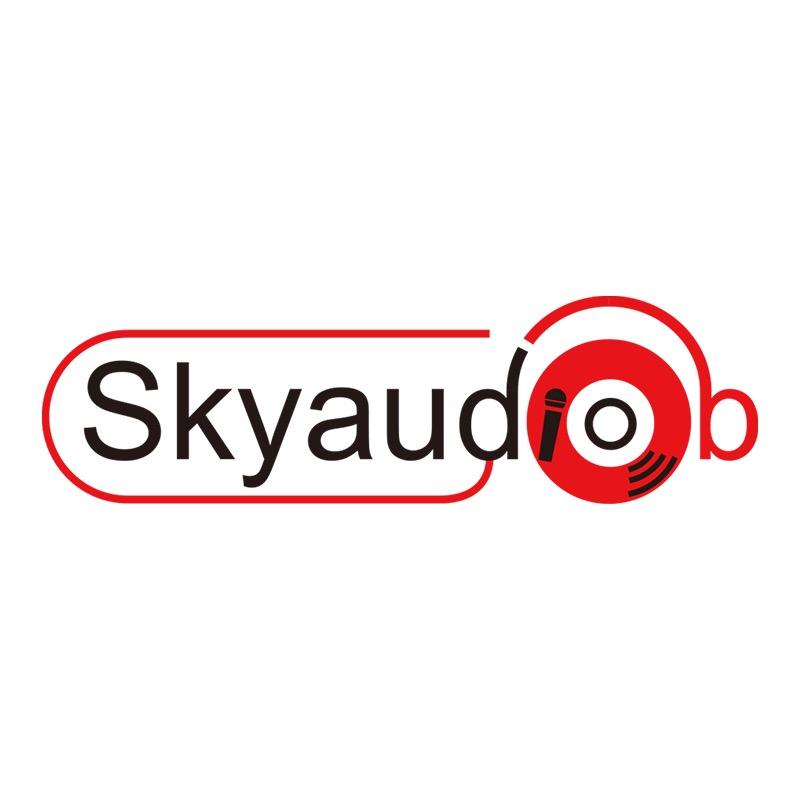 SKYAUD电子教育旗舰店
