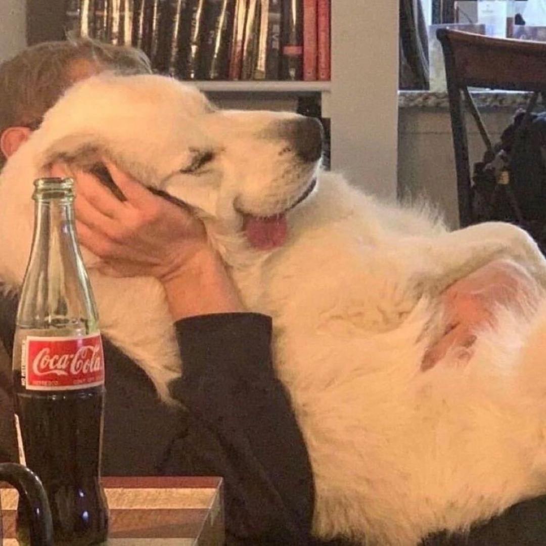 呦.