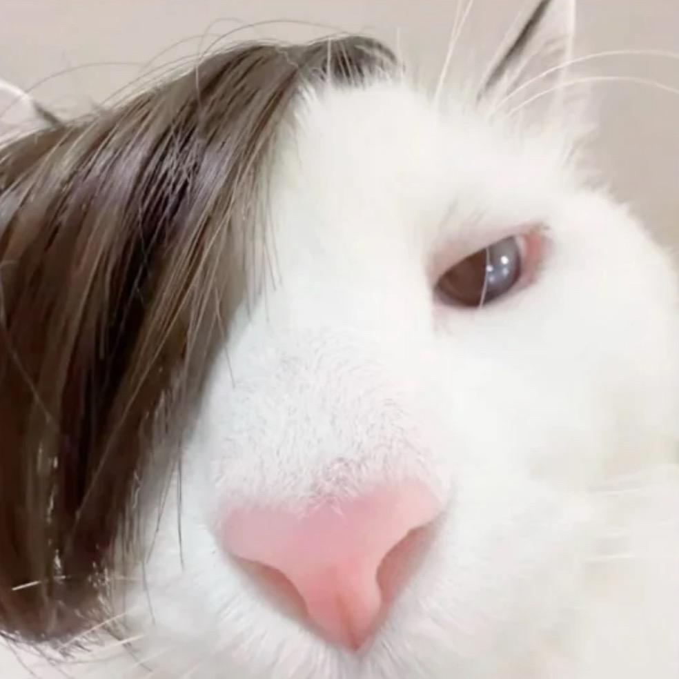 🐟大王