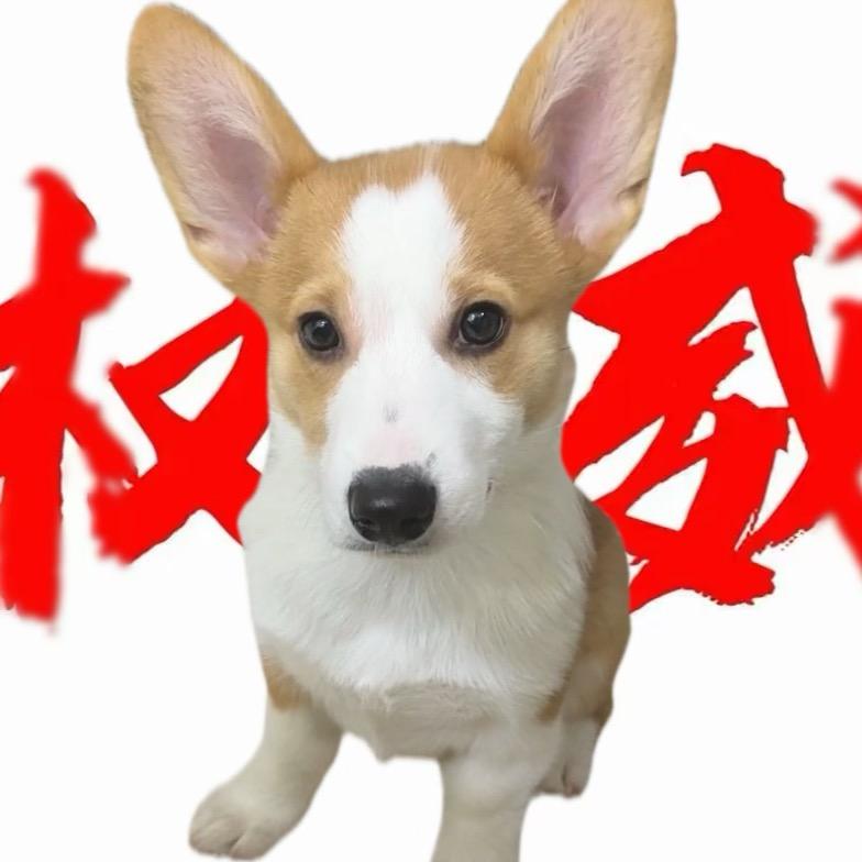 无敌李橙子大王