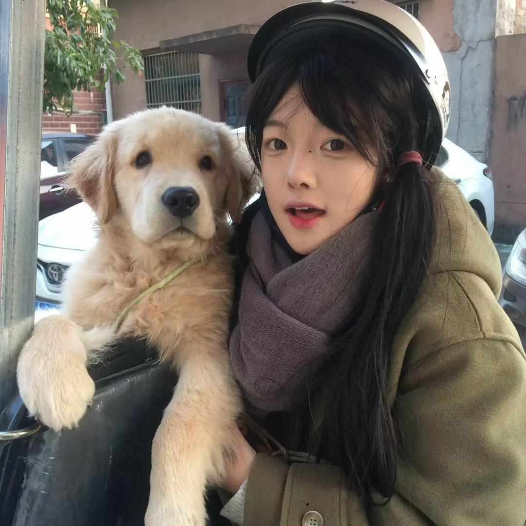 土豆烤肉（升本版）