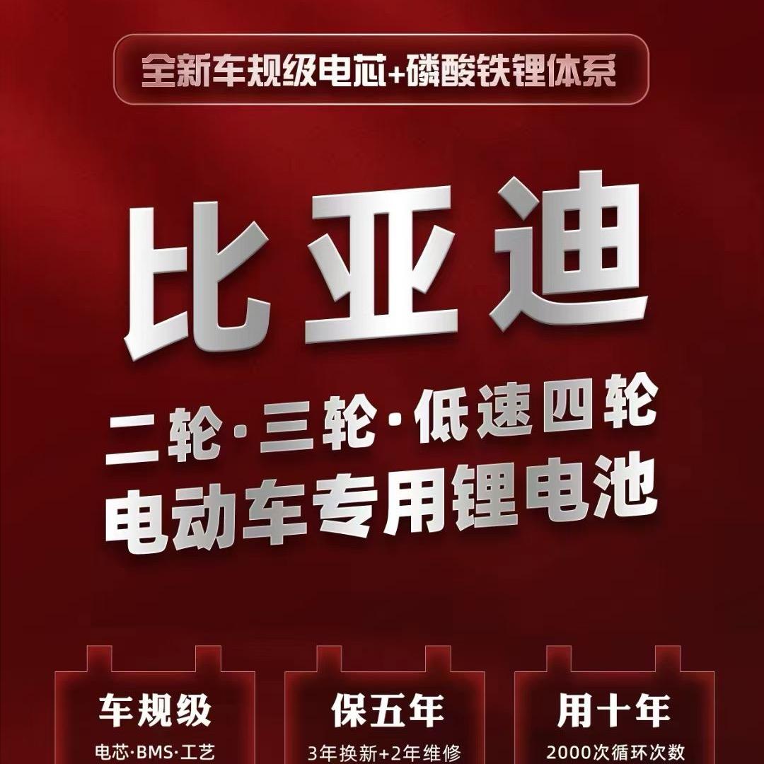 宜阳BYD锂电池（二三四轮专用）