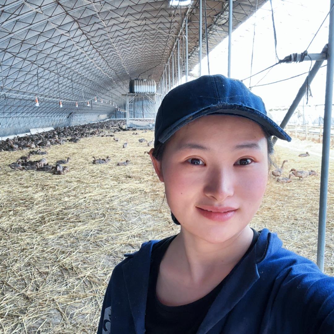荣生电子商务商行东北鸭行