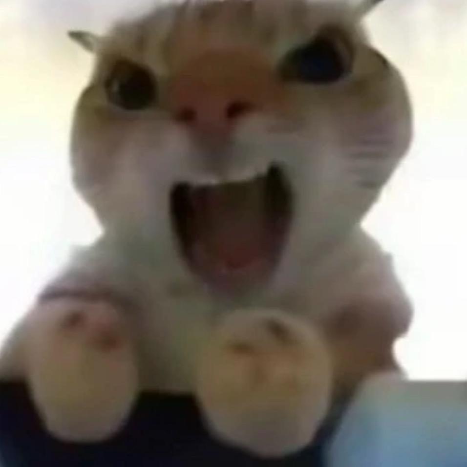 十五云云子