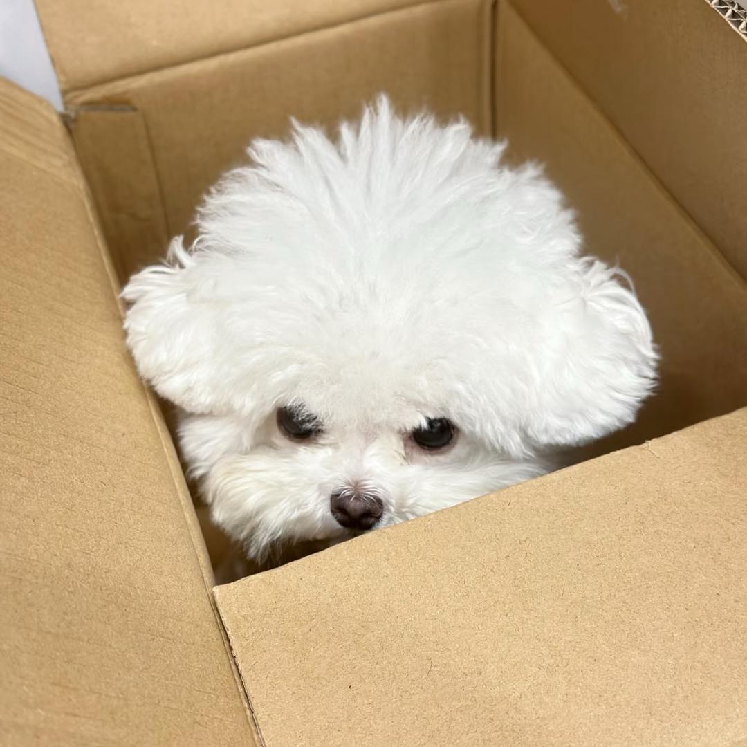 熬不过的夜