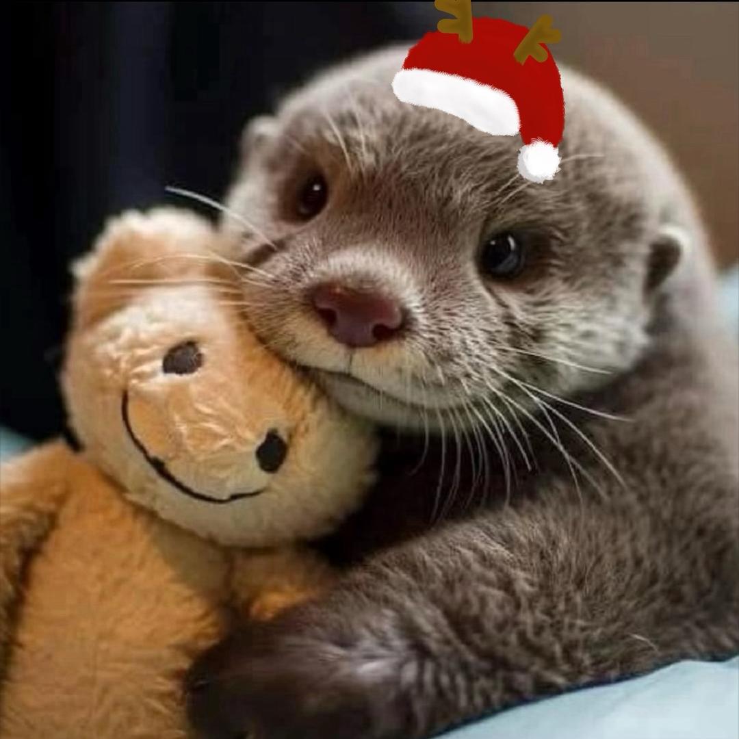 海胆王（现实人挺好）