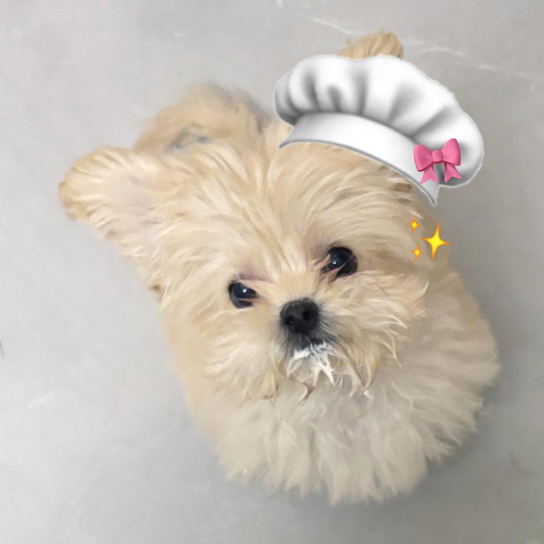 哈哈