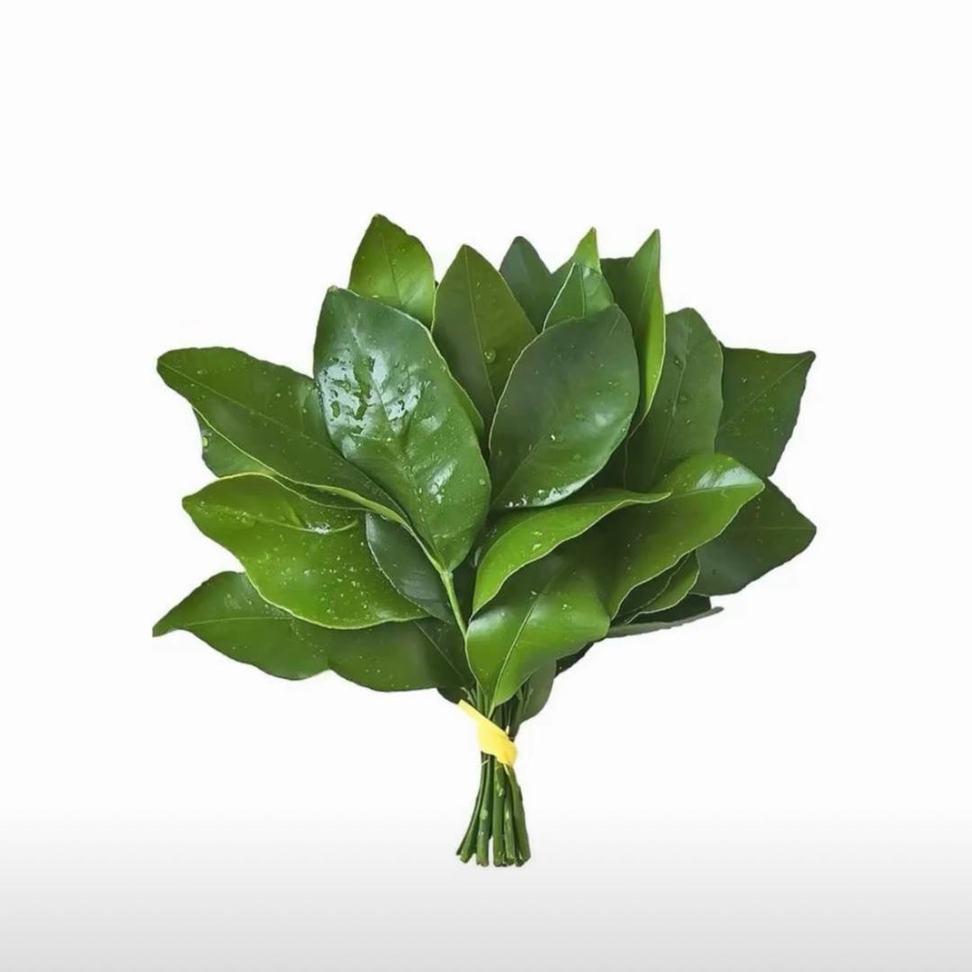芙