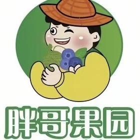 花小梨果果鲜甜