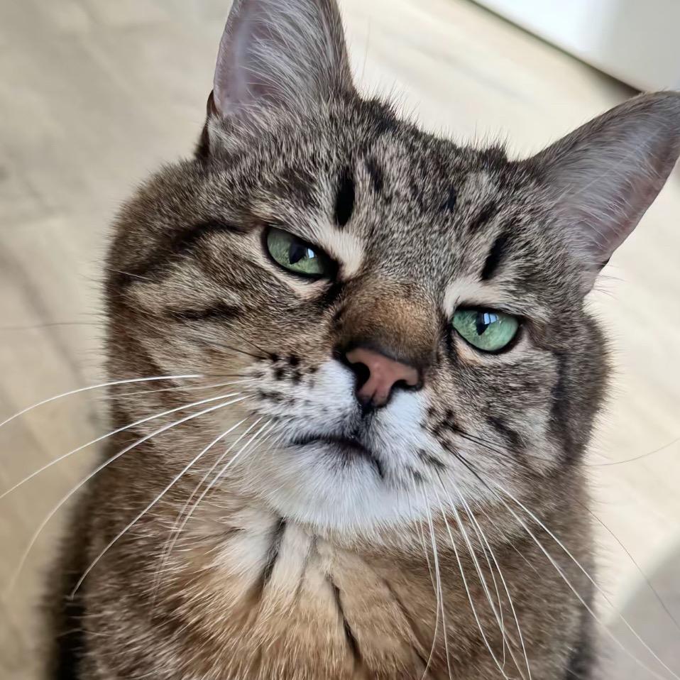 🦐虾仁猪心🐷