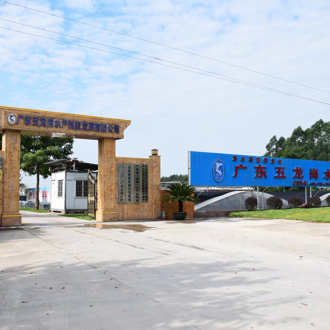 五龙岗水产店