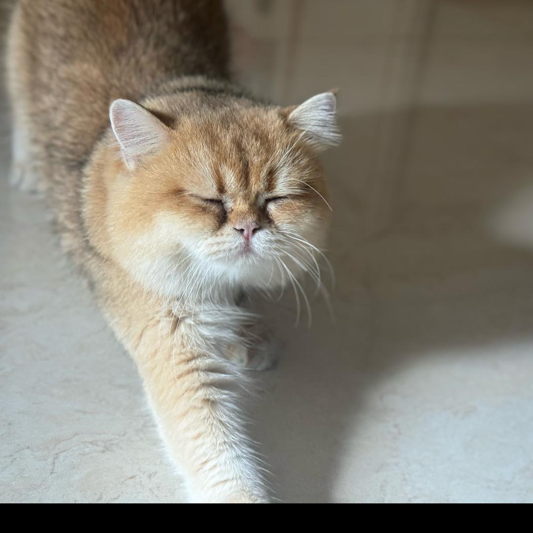 雪碧里面没有雪