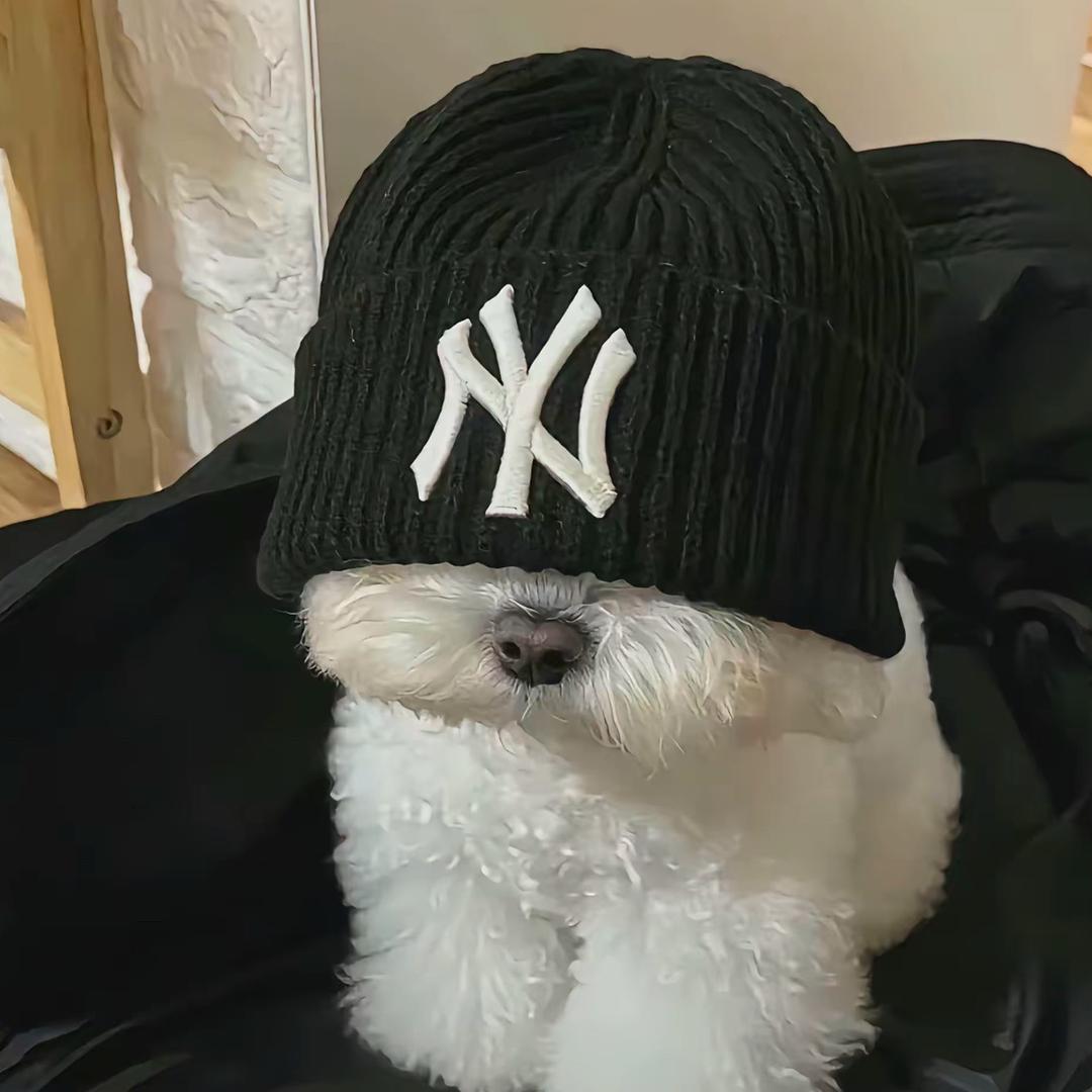 寧