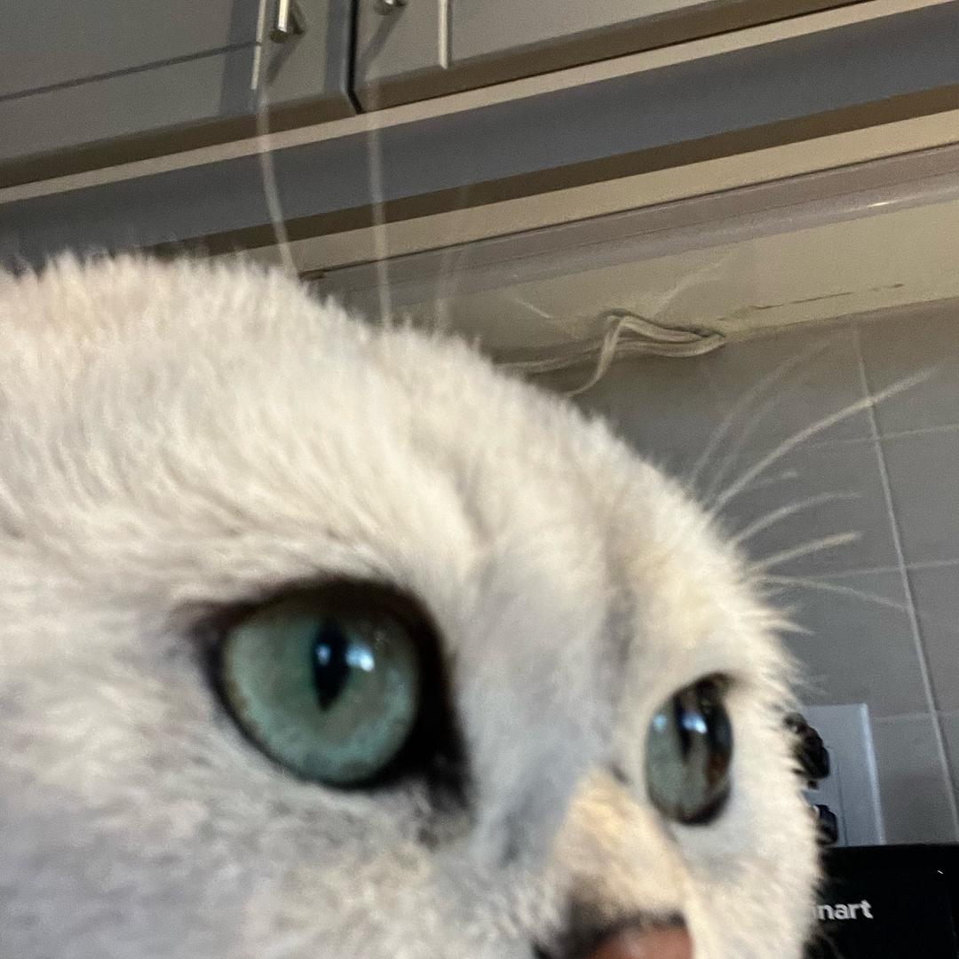 pocopoco