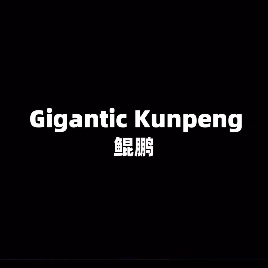 鲲鹏户外渔具