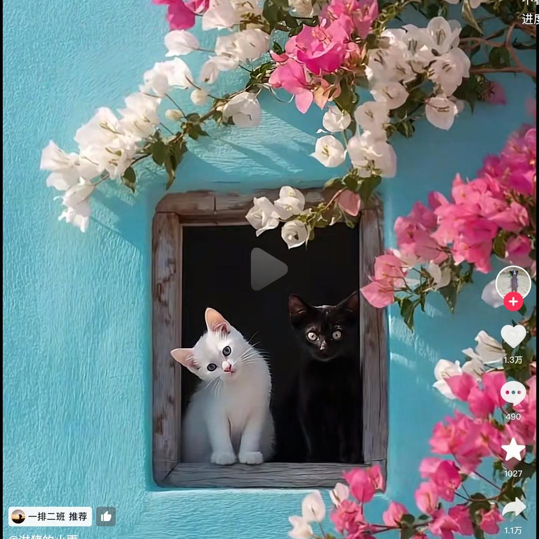 海棠花未眠