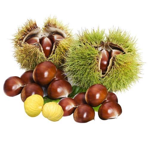 栗佳人食品铺子