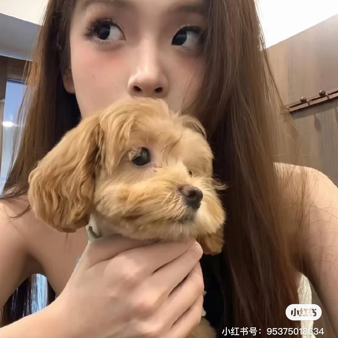 晨chen