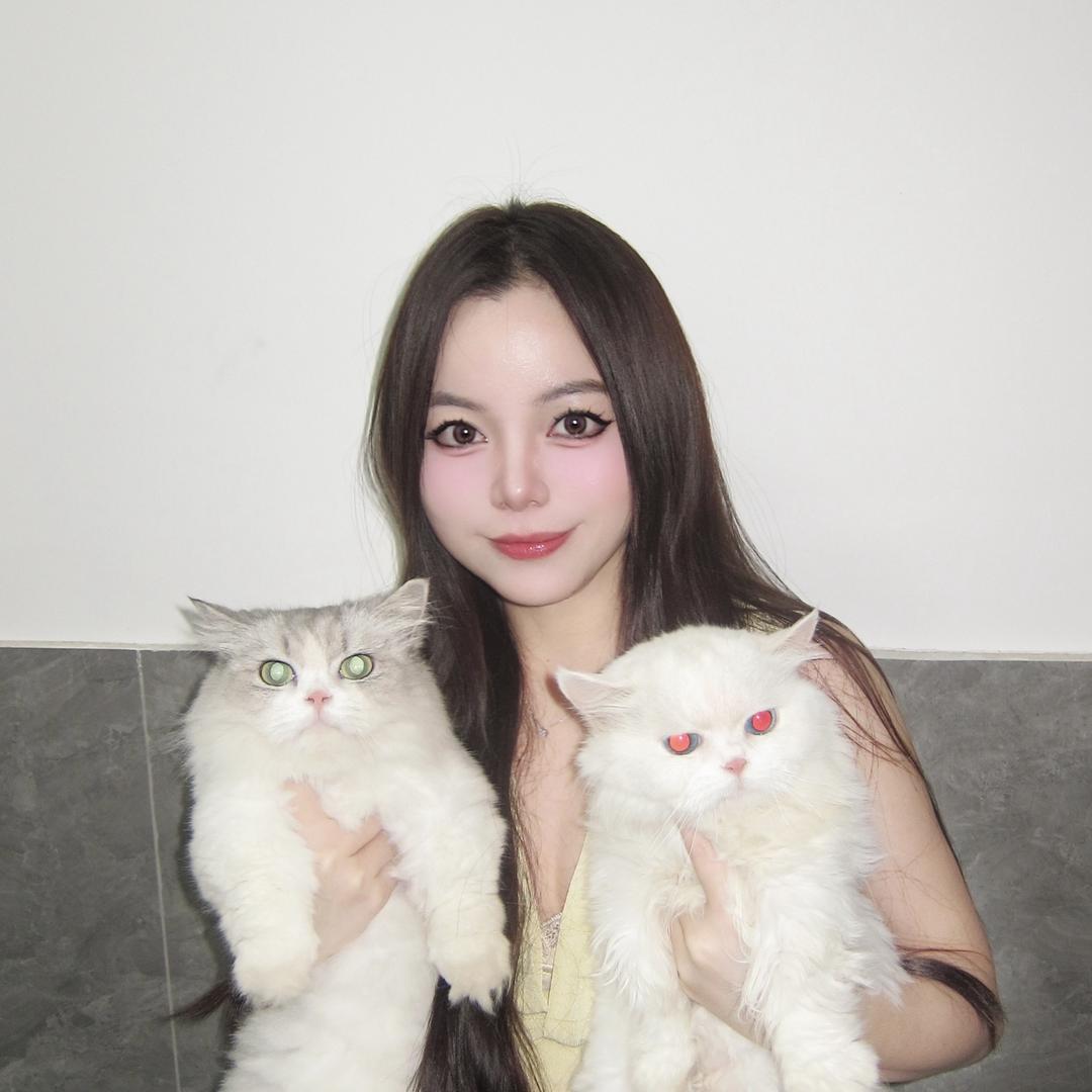 今天有一点点困2.0