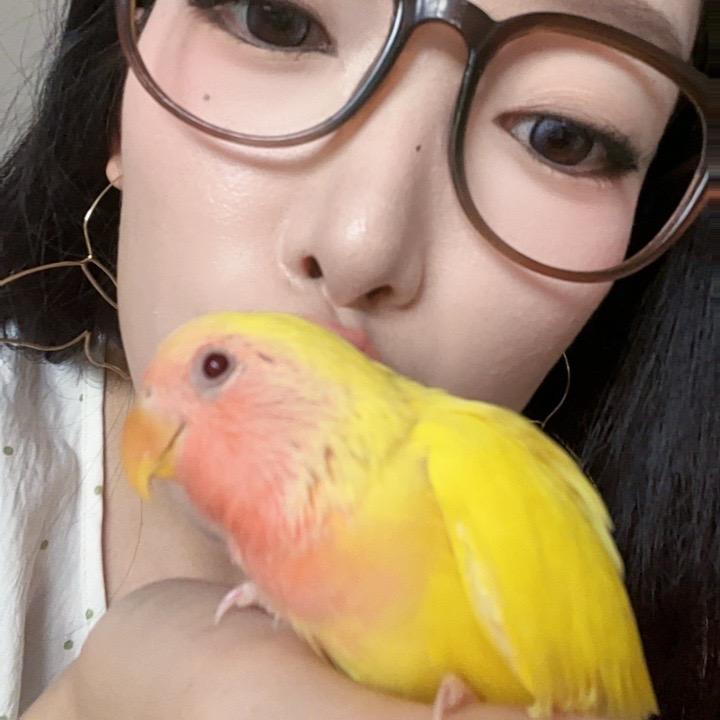 不丢大王