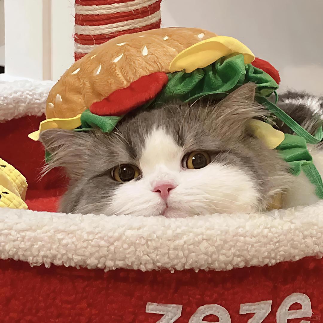 多点关心刘点开心