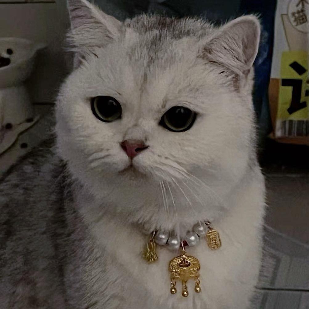 🌈丫丫与波比🌈